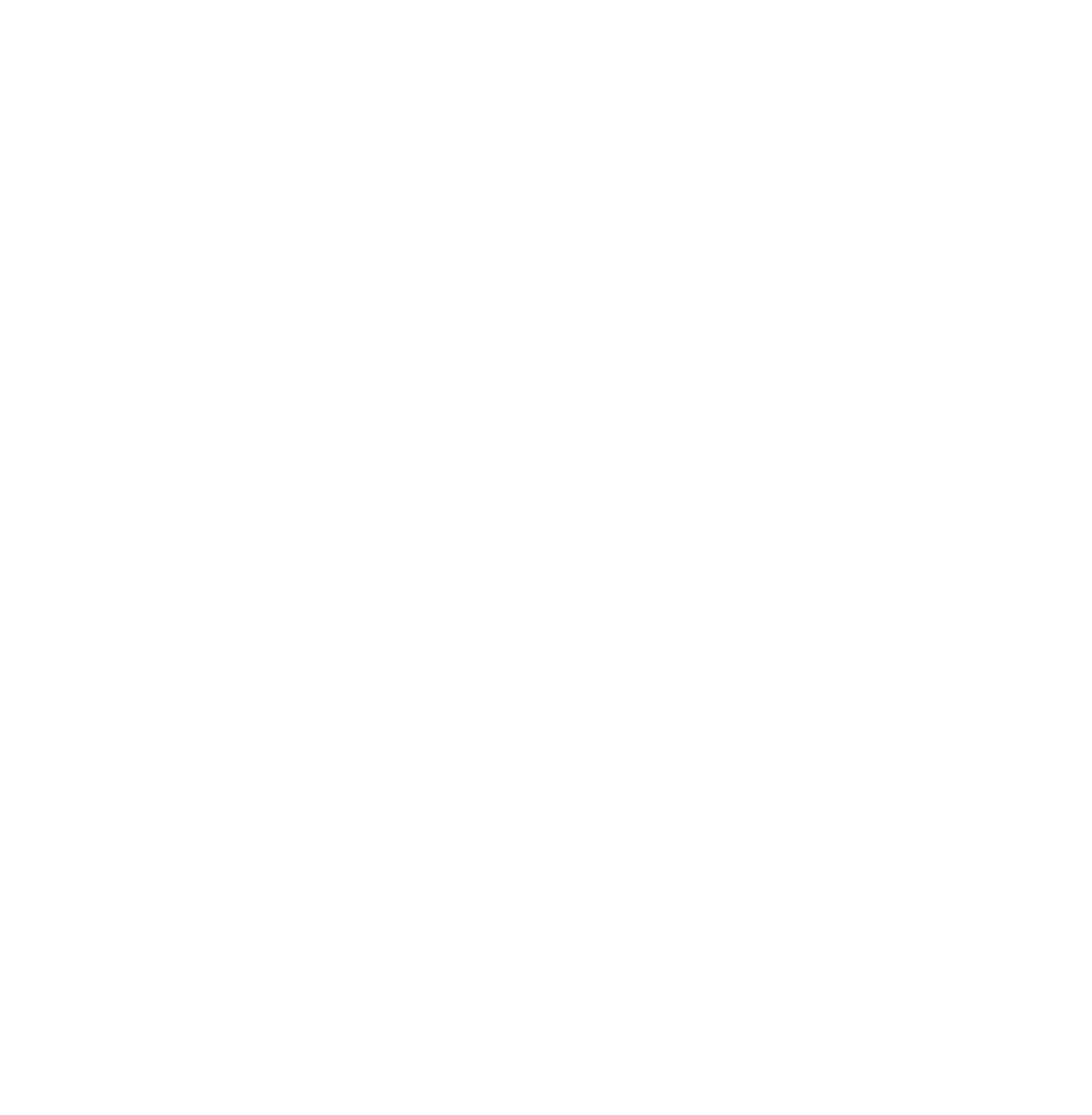 CodeDisco's Logo