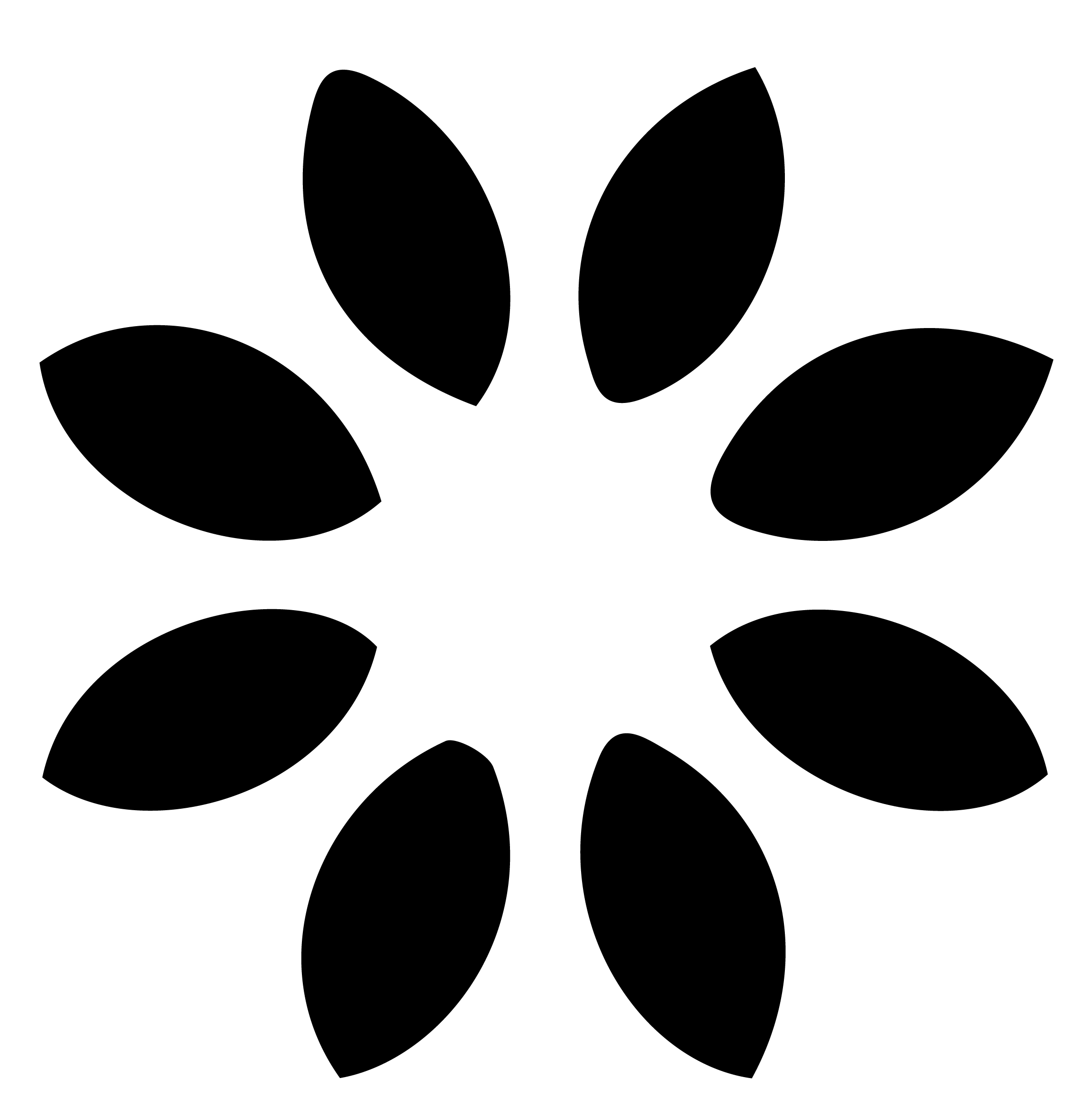 CodeDisco's Logo